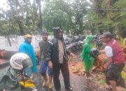 Pohon Tumbang Hambat Arus Lalu Lintas, Polisi dan Petugas Gabungan Bergerak Cepat