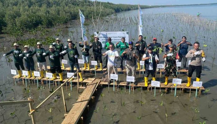 Jaga Pesisir Makassar, Bhabinkamtibmas Untia Dukung Penanaman Mangrove PT Pegadaian